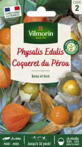 Physalis Edulis Coqueret du Pérou